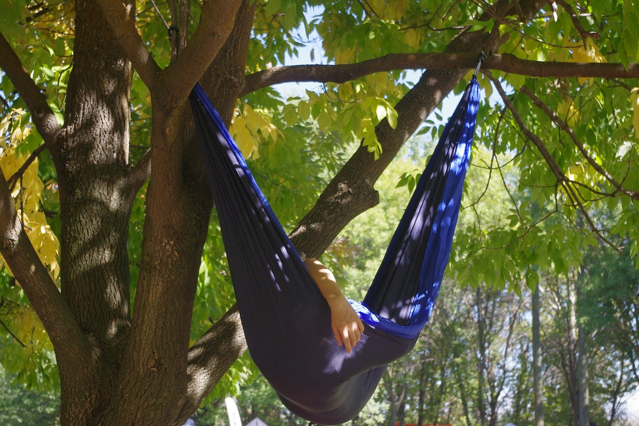 hammock, relax, tree-960320.jpg