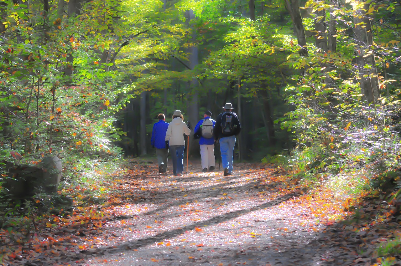 hiking, trail, smoky mountains-1232453.jpg